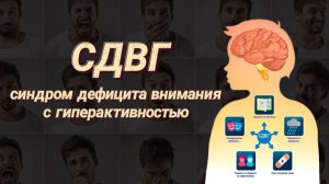 СДВГ у взрослых
