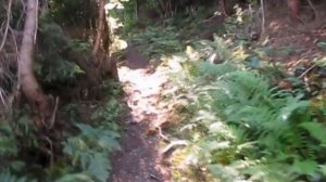 Дорога в забытый хутор. Кужбый.mpg