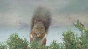 The Verve - Bitter Sweet Symphony