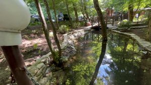 Едем на святую ручку