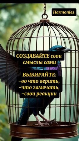 ВЫ ПЕРЕСТАНЕТЕ ИСКАТЬ СЧАСТЬЕ, ЗНАЯ ЭТО...#shorts #психология #счастье