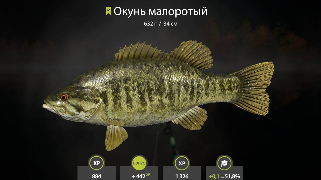 Моя первая рыбака на пк