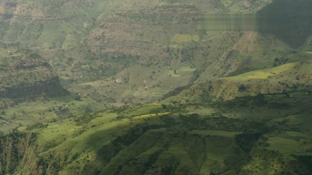 Герои дикой природы / Wildlife Icons-07  Гамадрилы парка Аваш смотреть онлайн