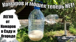 Как навсегда избавиться от комаров и мошек в саду и огороде? Простые и эффективные способы!