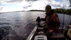 Рыбалка на сомов