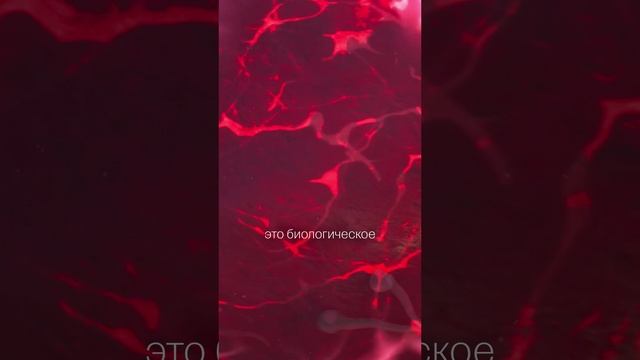Почему так УПАЛА рождаемость