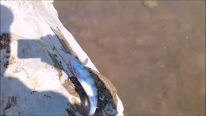 Краснодар рыбалка водохранилище