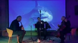 Трио «Ощущения» Trio Sensations Астор Пьяццолла Astor Piazzolla Танго "Акула"  Tango Esqualo
