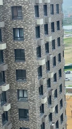 Пёсель выпал из окна 12-го этажа и застрял в короба кондиционера в Южно-Сахалинске.