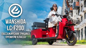 Пассажирский электрический трицикл премиум-класса: Wanshida_LC-L200