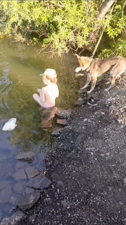 кормёжка