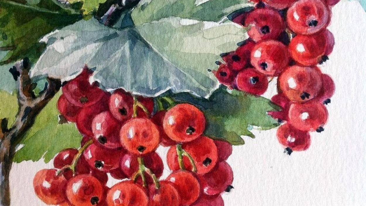 СТРЕЛЬЦЫ 🌺🎀☘ Ваш таро-прогноз на июль 2025 год. ✨✨✨