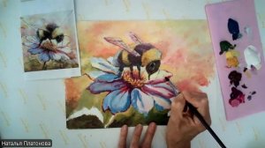 Шмель ч2 (камбала, графика)