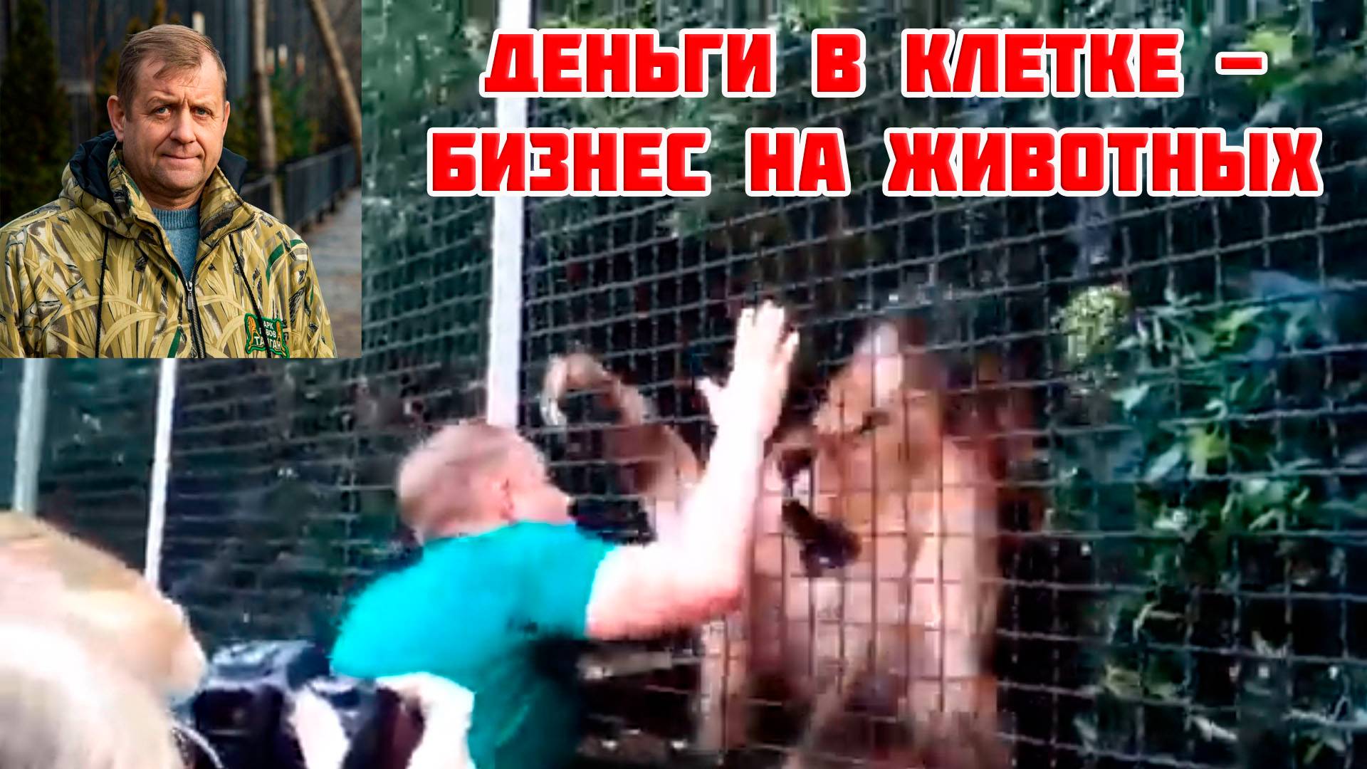 Деньги в клетке, как Зубков построил бизнес на животных в Тайгане, 27 июня