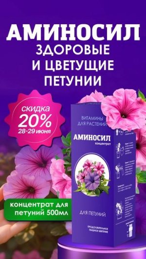 Петунии мечты с АМИНОСИЛ: поставь на старт!  
🌼Любимые цветы теперь с выгодой!🌼
