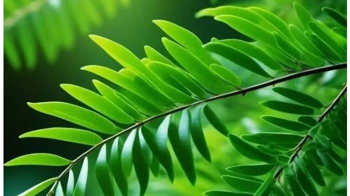 ИЮЛЬ--СКОРПИОН(таро)