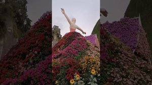 Дубай. Сад цветов. #SuperJump #ЕленаЛандочкина #Музыка #Цветы #Релакс