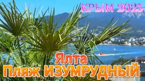 В Ялте открыли многоуровневый пляж «ИЗУМРУДНЫЙ» Новый пляж ждет гостей Крым 27.06.2025