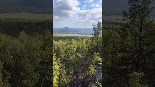 гора Дыроватик, вид #тагил #гора #природа #отдых #красота #travel #mountains