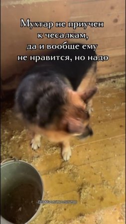 Ловкость рук, но руки целы