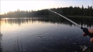 Такого еще не было!!! Удивительная рыбалка в Карелии на спиннинг.