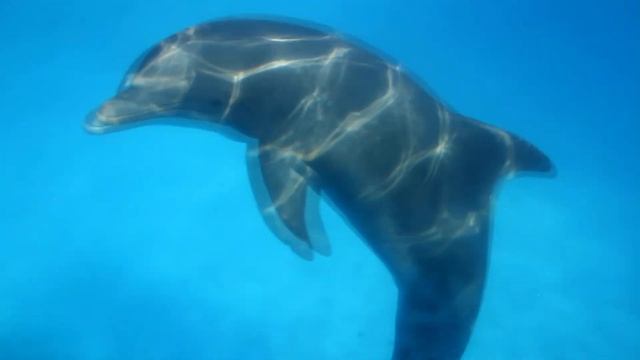 РЕЛАКС Музыка Для Снятия Усталости