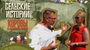 «СЕЛЬСКИЕ ИСТОРИИ» - Коровы в Лабинском районе