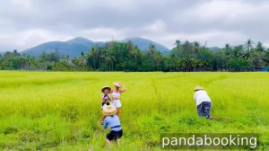 Аутентичный Хайнань для взрослых