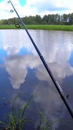 Ловля щуки на серебристую колебалку из СССР