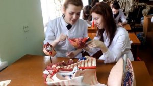 О направлении подготовки "Ветеринарно-санитарная экспертиза"