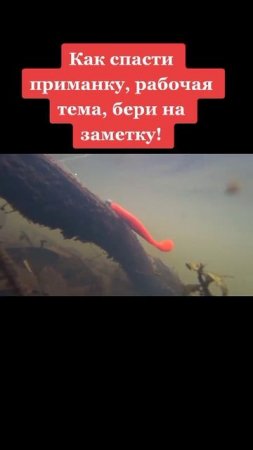 Как отцепить приманку