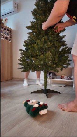 Christmas is Christamising~ #gks #korea #christmas2024