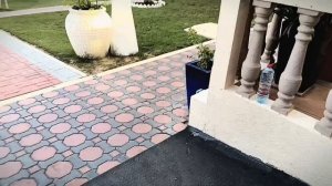 В отпуск в ОАЭ