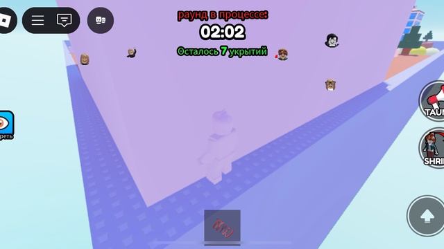 Прятки в Стенах камуфляж в ROBLOX!