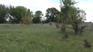 Поиск  на КАЗАЧЬЕМ ХУТОРЕ