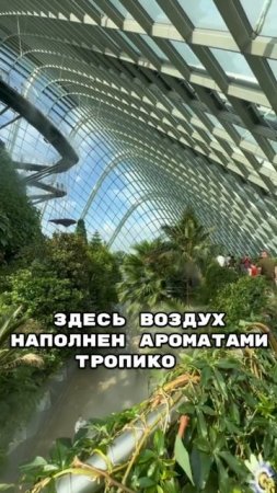 Сады у залива