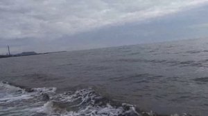 Питбуль Вага первый раз на море.