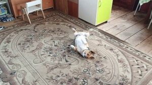 Обзор нашего дома! Наводим порядок на участке.