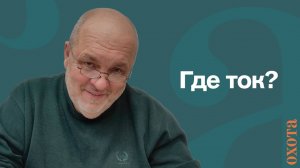 Где ток? Валерий Кузенков об охоте на тетерева.
