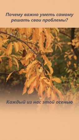 Почему важно уметь решать проблемы самому