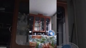 секс с утречка