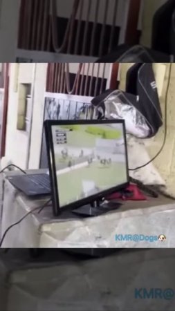 Изучение соперников перед скачками🏇😂