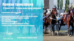 Прямая трансляция 27 Июня 2025 - 15 беговой день для лошадей рысистых пород