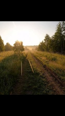 «Так неожиданно - аж не уютно»