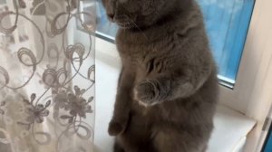 Это мой друг знакомтесь, скоро он ко мне приедет, надеюсь будем дружить)