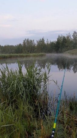 Рассвет рыбалка озеро