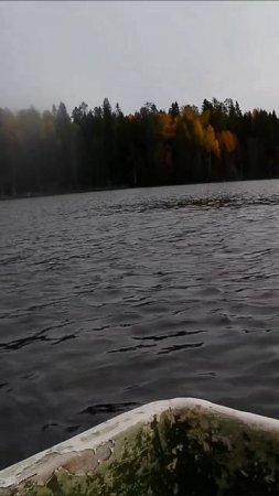 Октябрь. Карелия. Осень