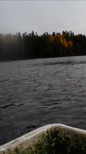 Октябрь. Карелия. Осень