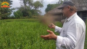 🌿 Осмотр ивовых плантаций (18.06.2025)