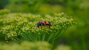 Чудеса живут в природе. Фотографии природы